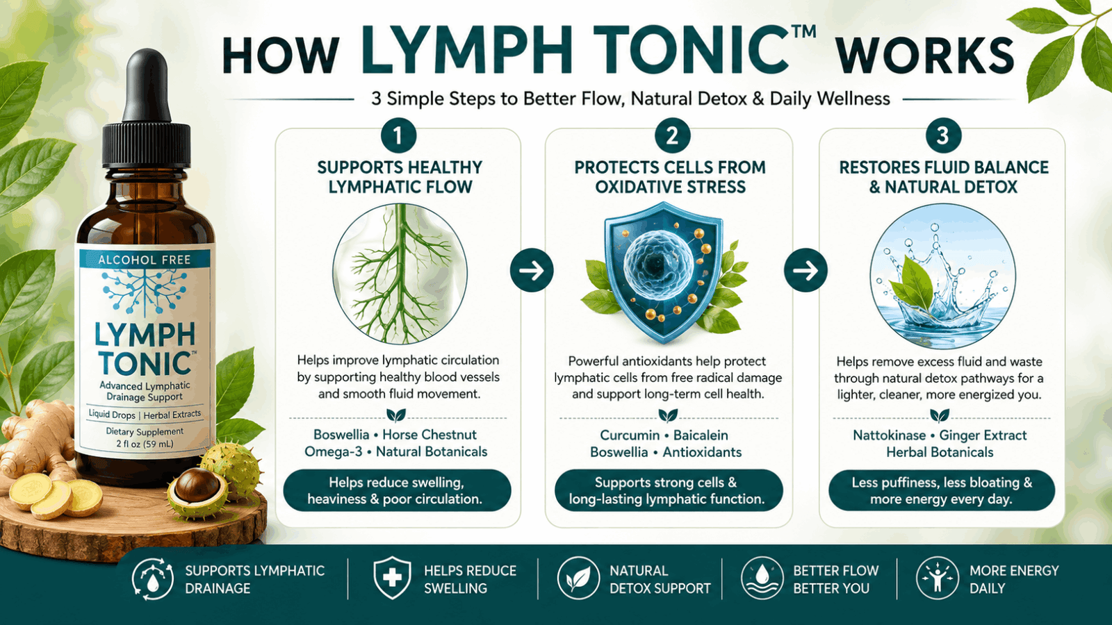 lymph tonic- how it works